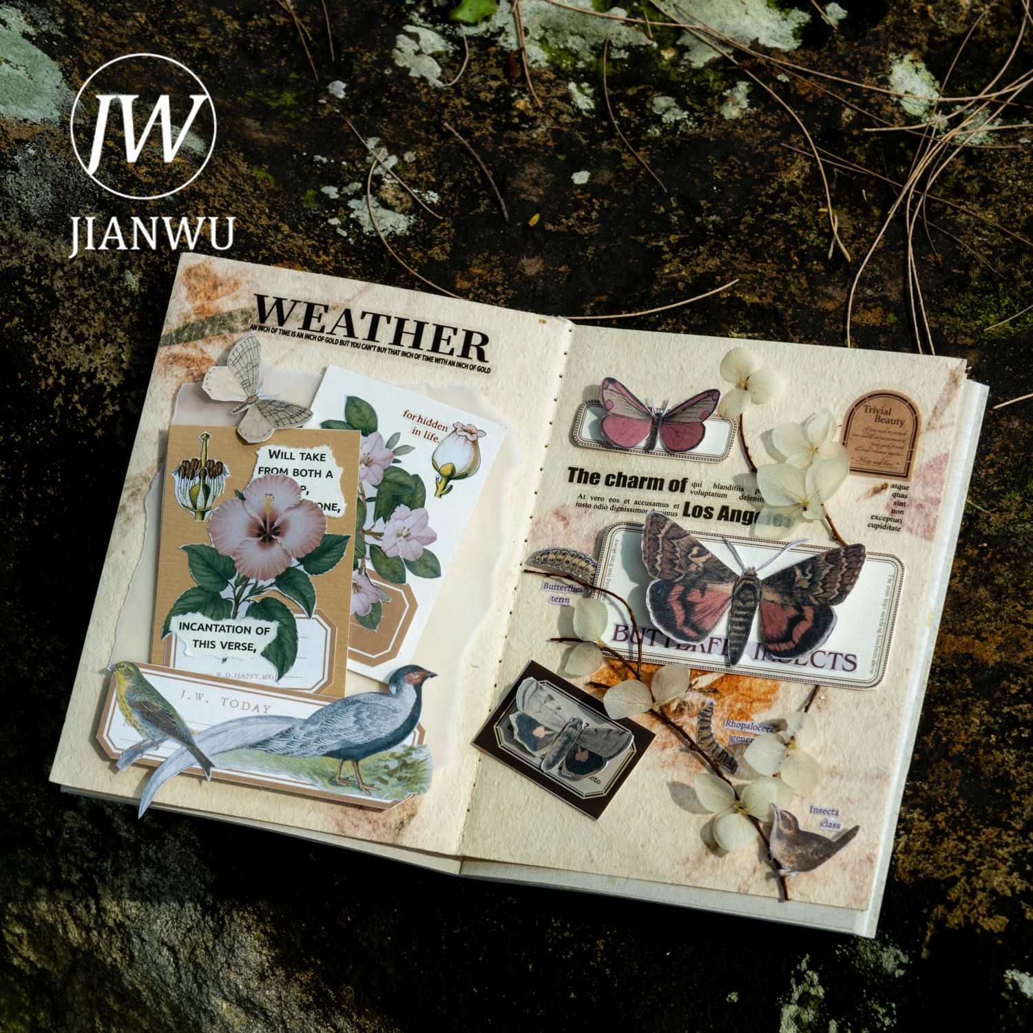 JIANWU موسوعة سلسلة خمر زهرة فراشة الطيور المشهد المواد الكولاج ملصق كتاب الإبداعية DIY مجلة القرطاسية #5
