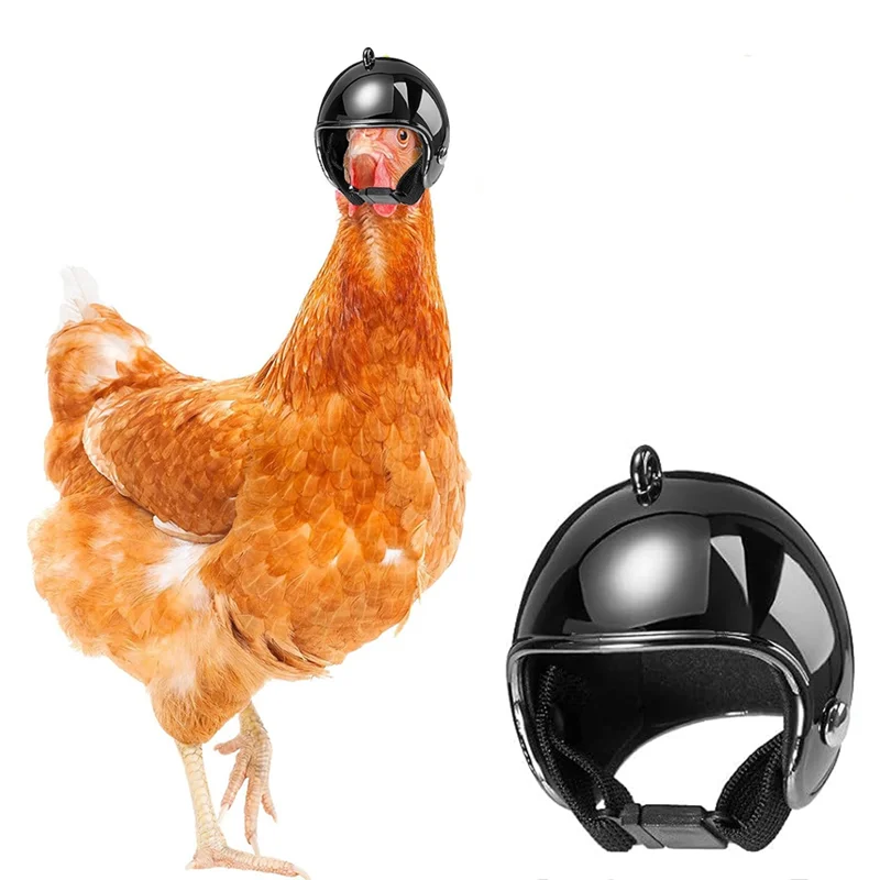 A19F-10PCS Pet Chic…