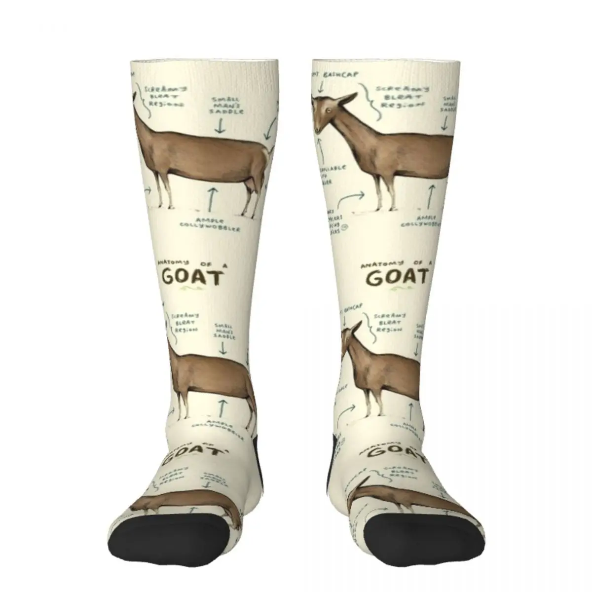 

Anatomy of a Goat Socks funny gifts Crossfit loose Girl'S Socks Men's