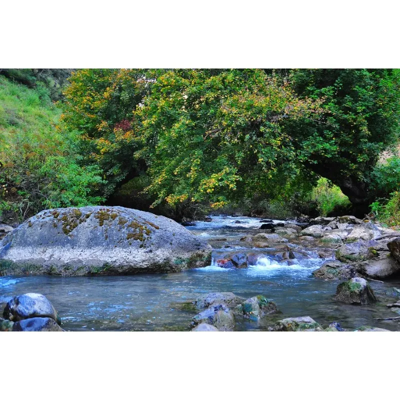 

Gemfan 4023 4" Propeller 3-Blade for Toothpick Drones, Compatible with 1.5mm and 2mm Motor Shaft, 2 Pairs FPV Racing Parts