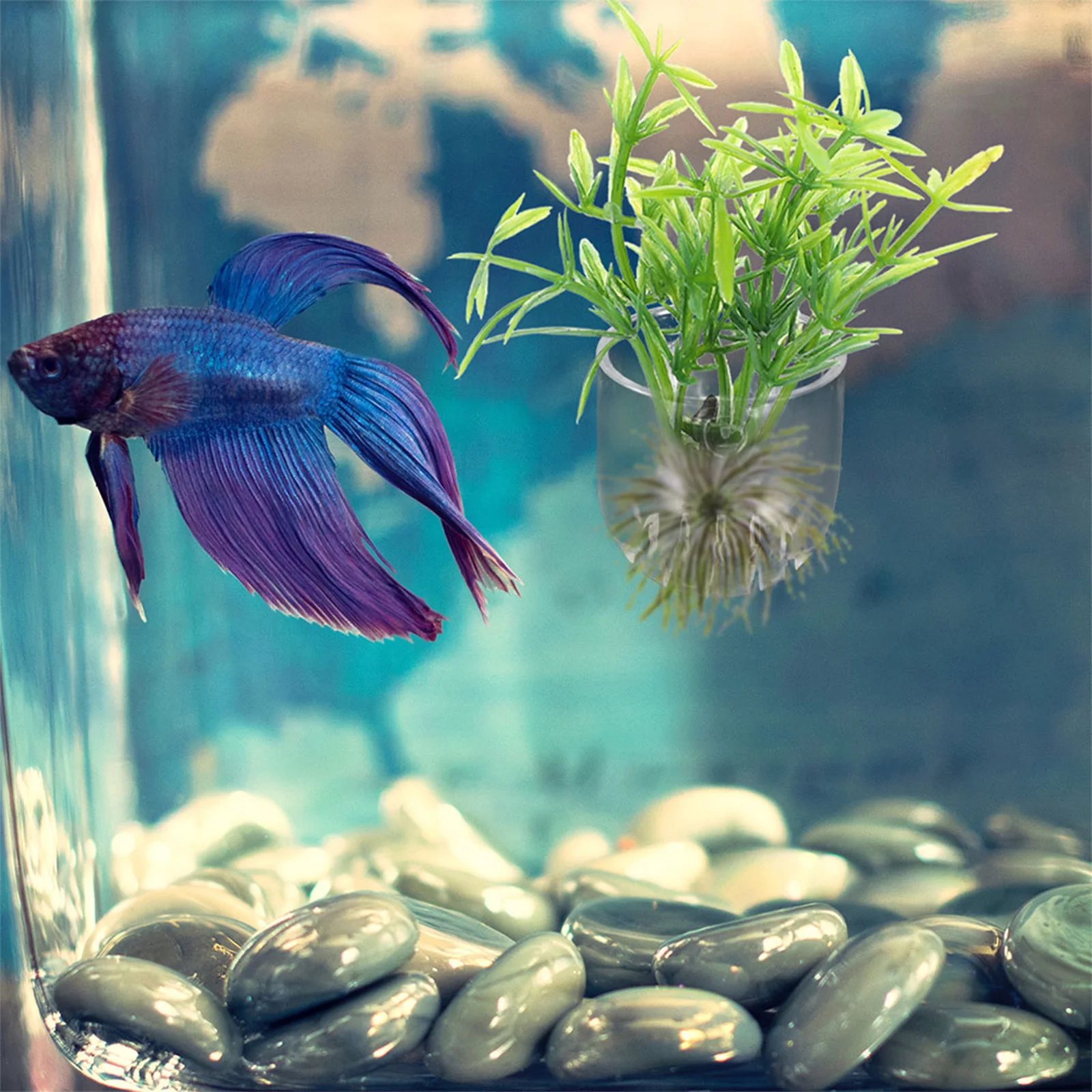 

6Pcs Aquarium Fish Tank Plant Holder Acrylic Planter Landscape Decoration Floating Plant Pot Fish Food Dispenser