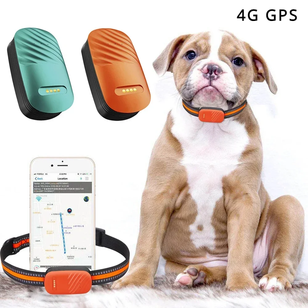 

Waterproof 4g Gps Tracker for Cat 3d G-sensor Gps Locator Long Standby Anti-loss Tracker Collar Real Time Positioning for Dogs