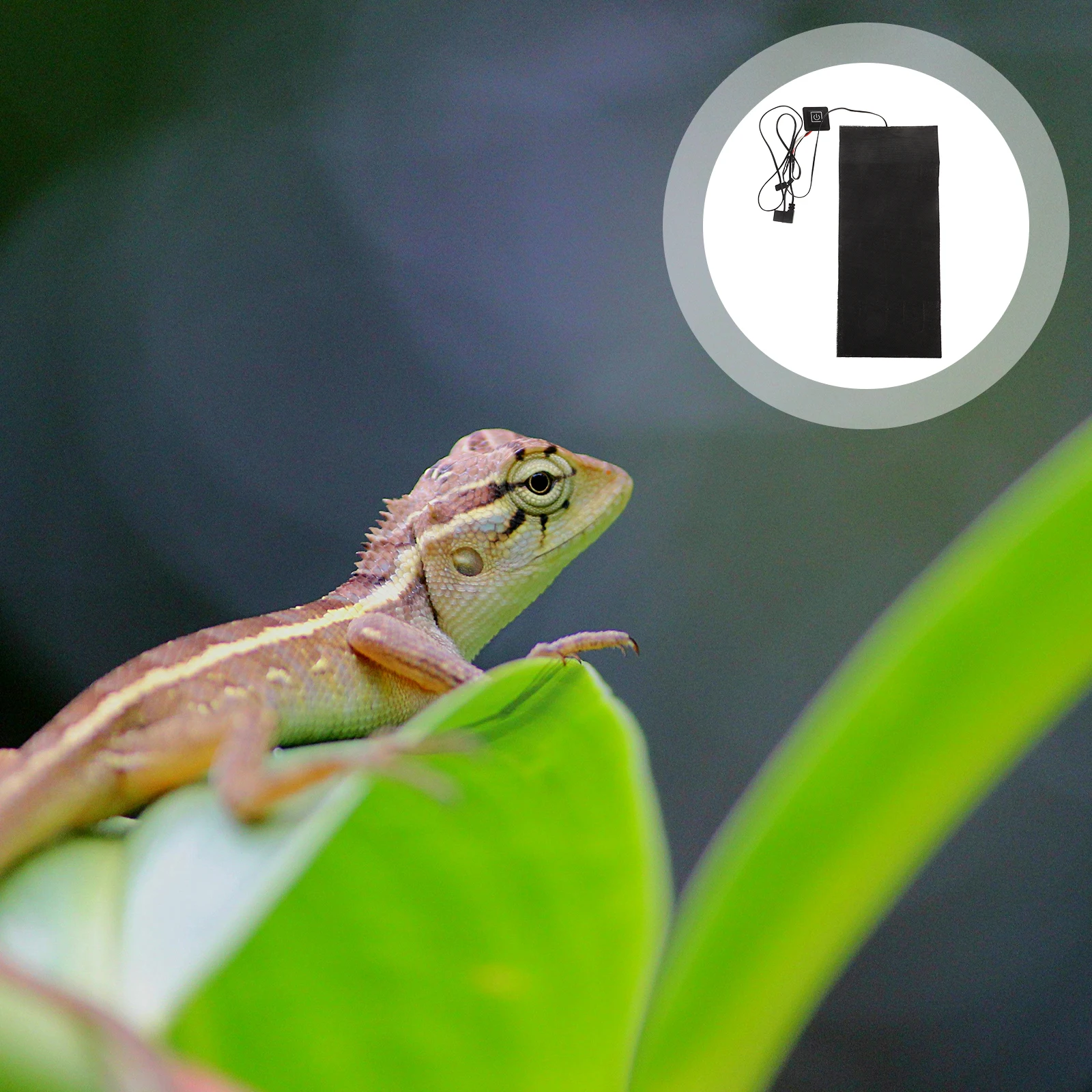 

USB Heating Pad Electric Pet Heating Mat Portable Warming Pad for Puppies Cats USB Heated Blanket for Dogs Keep Pets Warm