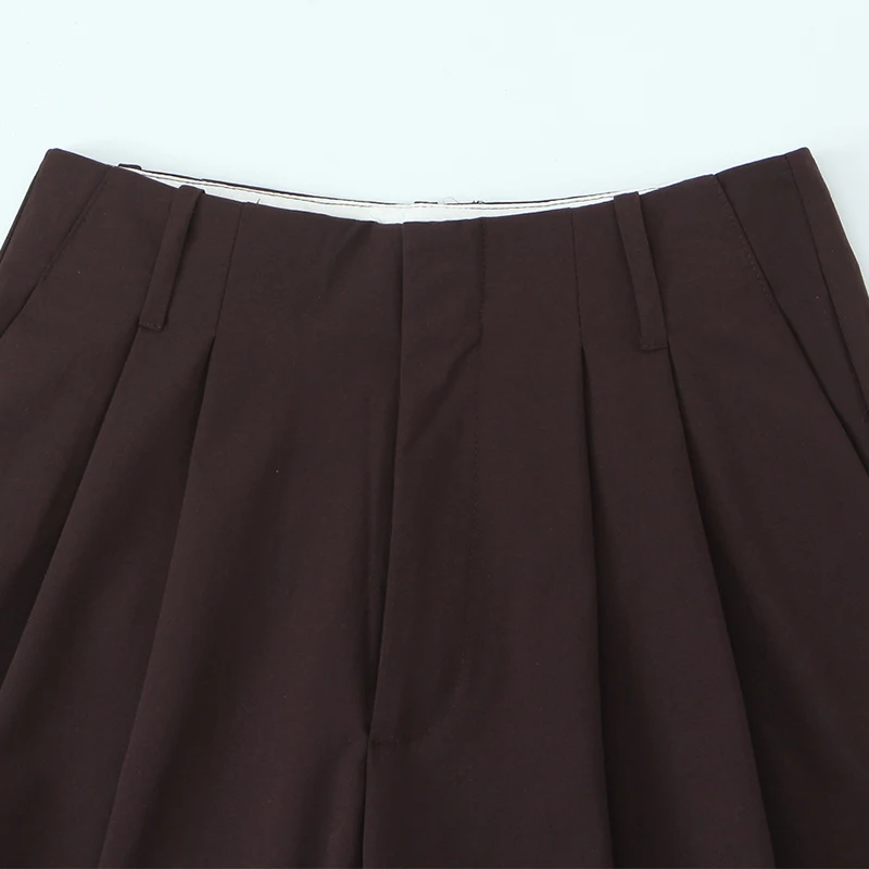 Willshela Damskie Brązowe Spodnie Ołówkowe z Plisami z Przodu, Zapinane na Zamek, Vintage, z Wysokim Stanem, Długie, Eleganckie Spodnie Damskie