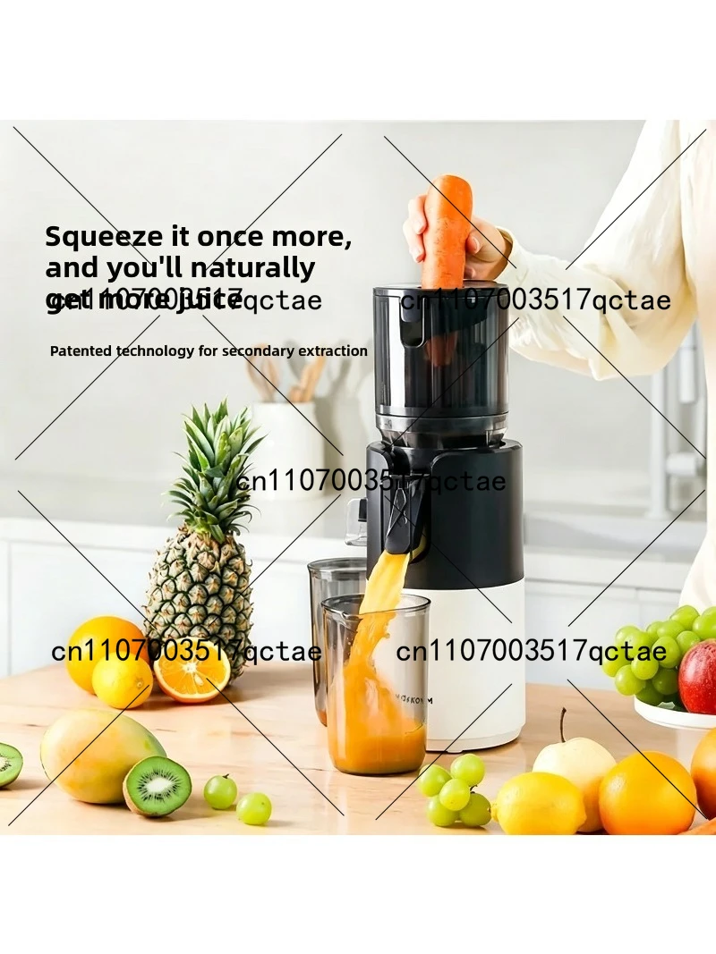 Cold Press Juicer 220V Slow Sp - Electric Slow Juicer Cold Press review and price