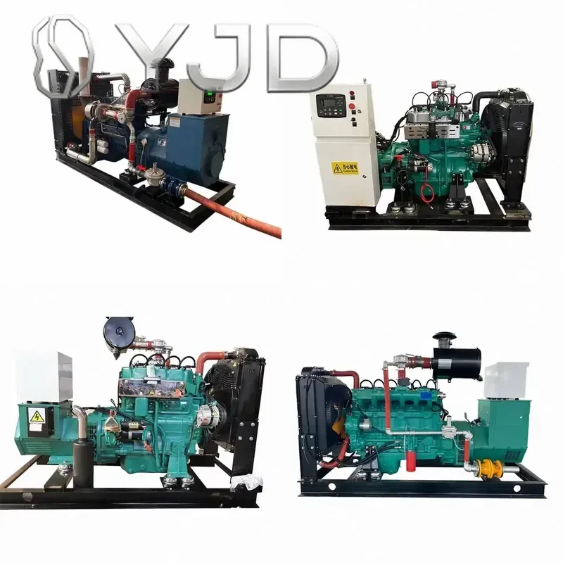 Junwei Clean Energy CHP Mini 5kW 8kW 10kW 50kW 100kW Biogas Power Plant Generator Set 100% Copper Brushless Alternator 24V DC