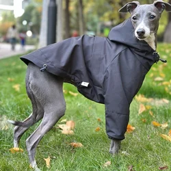 Black Windproof WaterProof Winter Jacket for Italy Greyhound Velvet Raincoat Soft Warm Fleece Zippered Hooded Sweatshirt for Dog