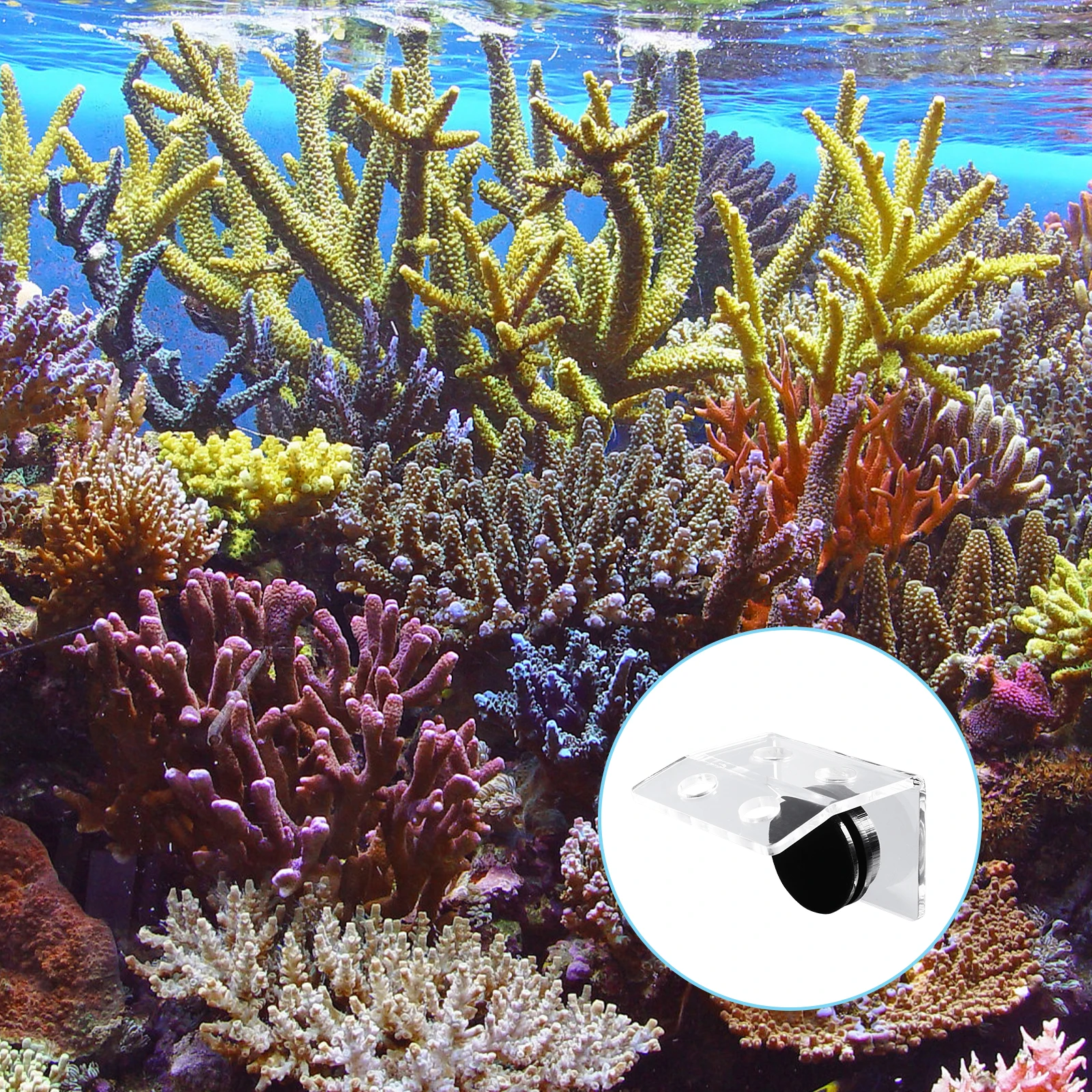 

4 Pcs Coral Frag Rack with Magnetic Base, Durable Acrylic Coral Support Holder, Aquarium Decoration for Frags
