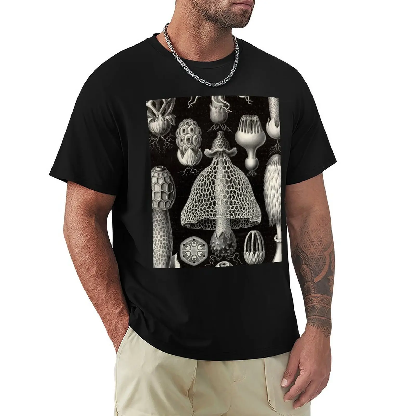

Basimycetes - Ernst Haeckel T-Shirt heavyweights sports fans mens t shirts pack