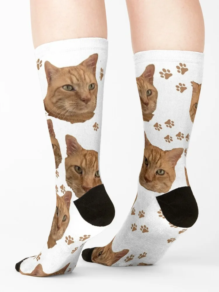 Jonesy Paws orange cat tabby rusty kitty Socks luxury Thermal man winter Male Socks Women's