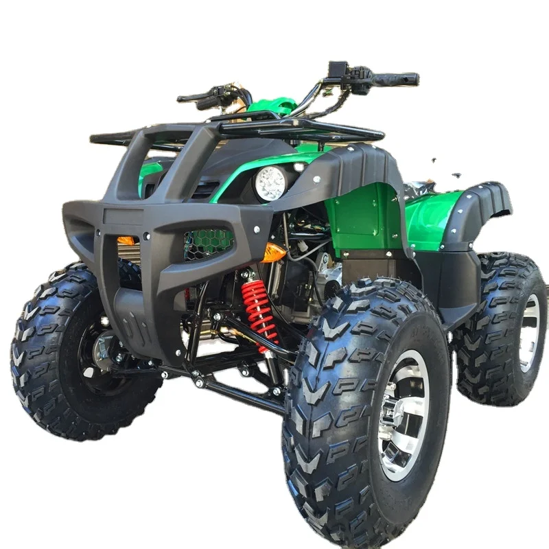 200cc Quad Bike Automatic ATV Chain Drive 4-Stroke Engine 2WD