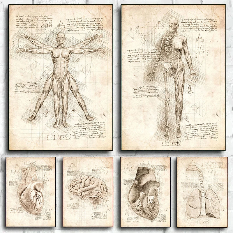 Canvas Painting Vintage Da Vinci Inspired Sketches Vitruvian Man Human Dental Anatomy Poster Wall Art Pictures Home Room Decor