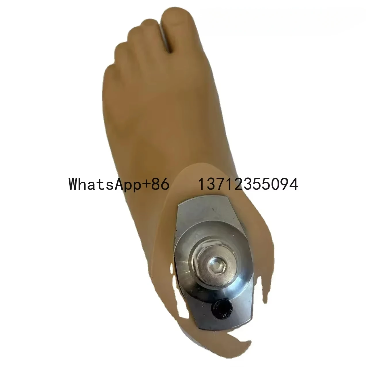 Stopka SACH + stopka z włókna węglowego do protezy