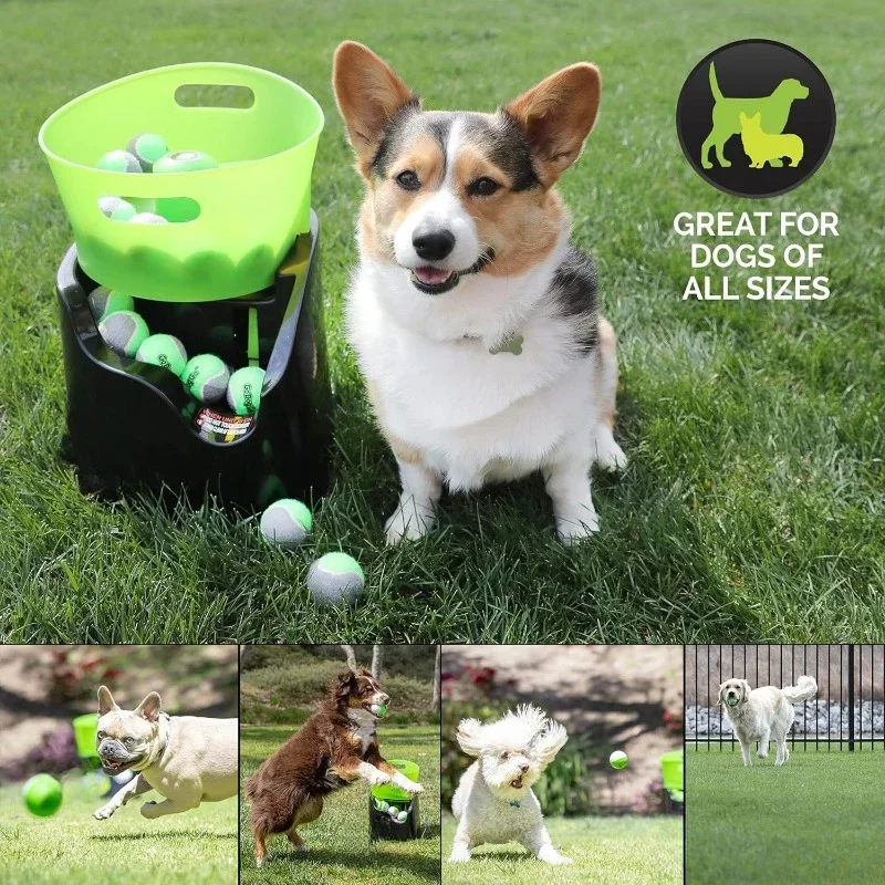 Fast shipping.Dogs With Five 2.5" Balls for Dogs 20-60 Pounds Fetch Machine Dog Ball Launcher & Automatic Ball Launcher for