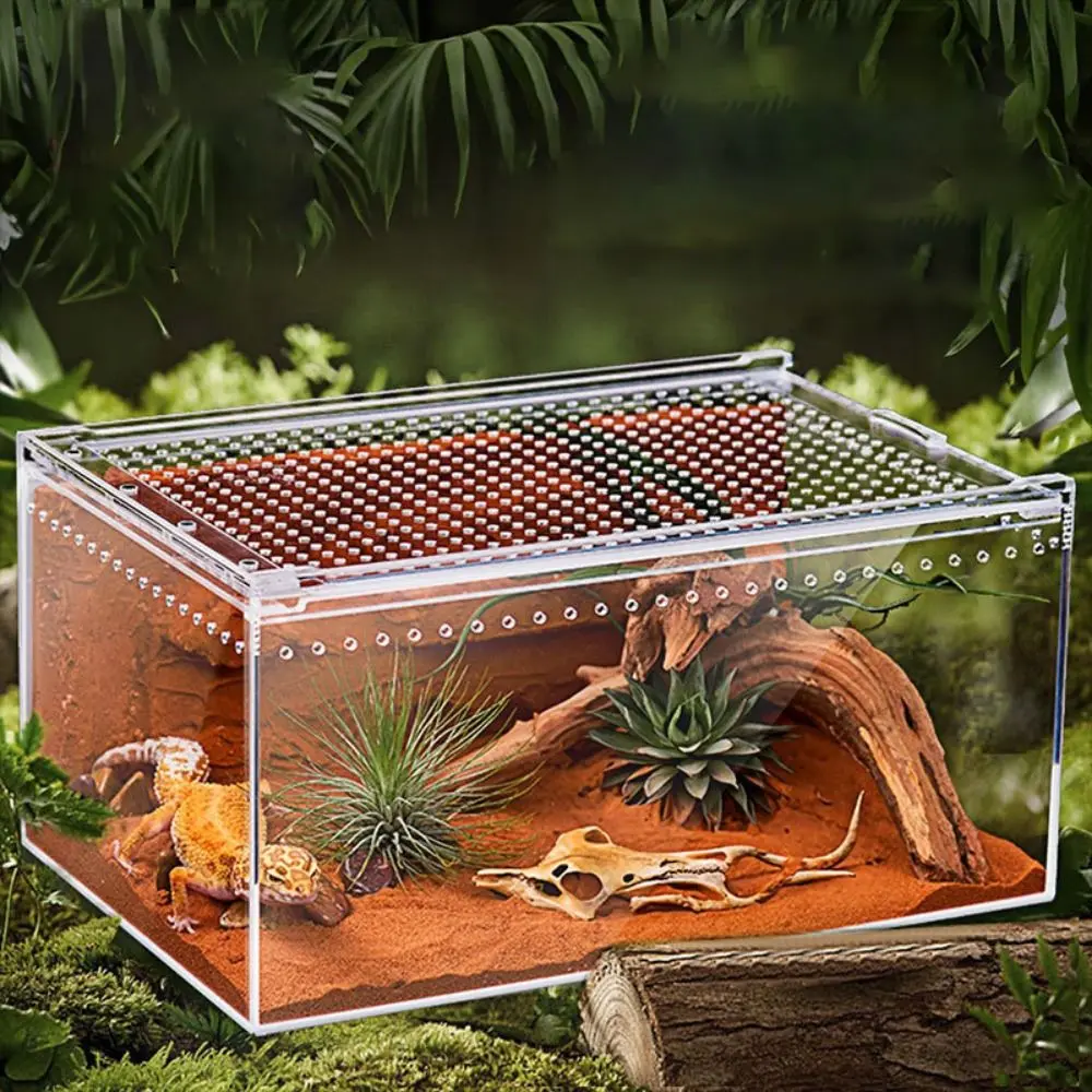 Transparent Reptile Breeding Box Breathable Acrylic Lizard Terrarium Habitat Prevent Escape Reptile Hatching Terrariums