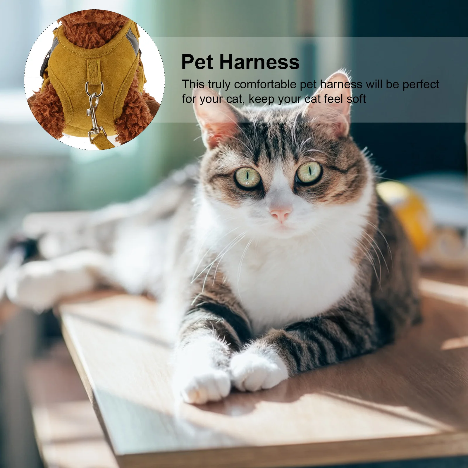 

2Pcs Pet Harness Leash Set Adjustable Chest Strap Vest Comfortable Escape Proof with Quick Release Buckle for Cat Running
