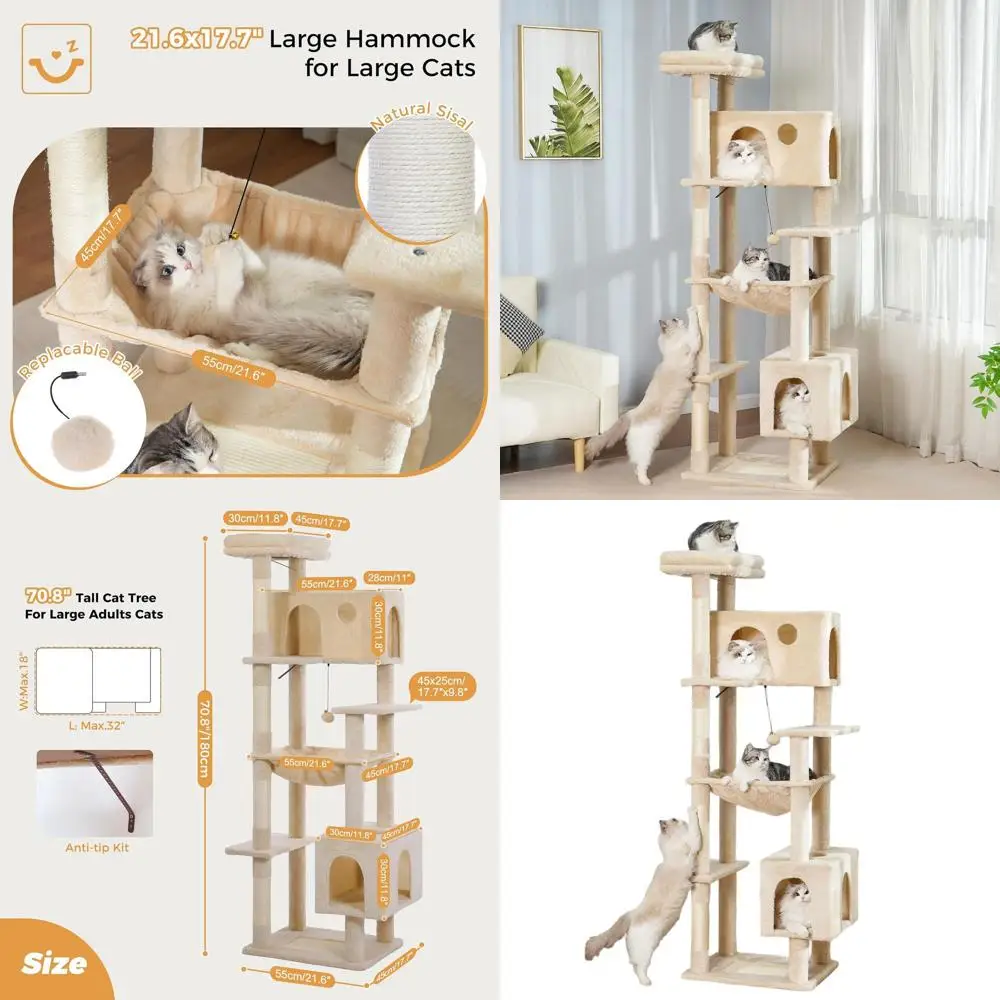 Xlarge 72 Beige Cat…