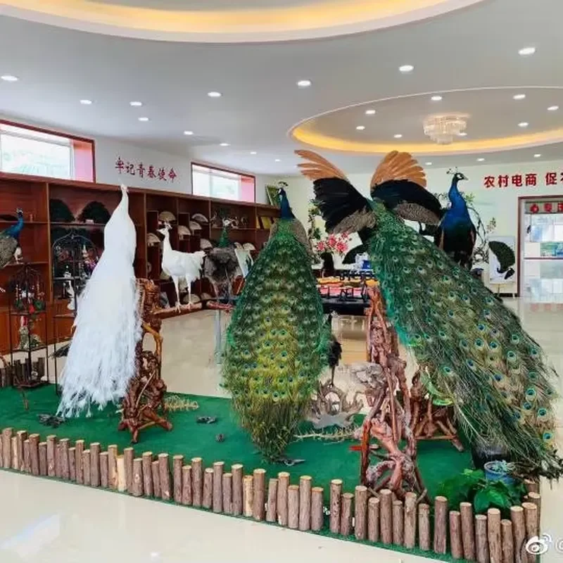 for Wedding Party Christmas Decor Large Simulation Peacock Feather Props Realistic Bird Specimen Home Room Interior Display