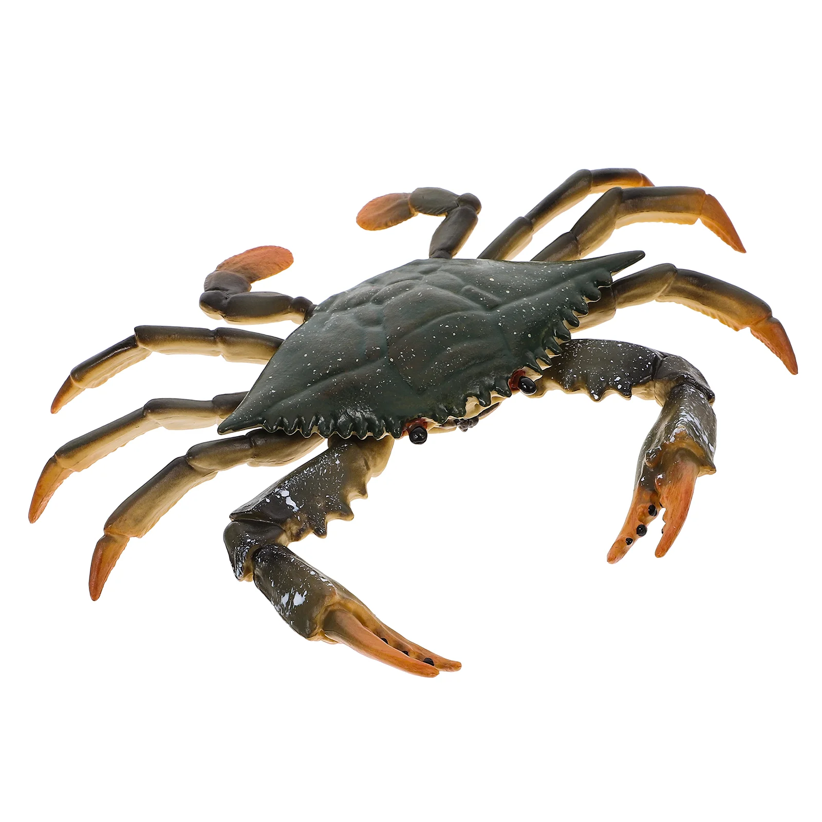 Figurines de crabe de simulation, jouets modèles d'animaux marins, éducation des enfants