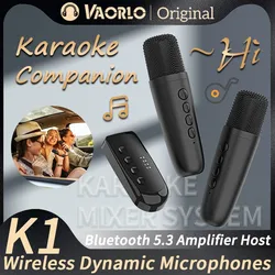 VAORLO Wireless Karaoke Companion Bluetooth 5.3 Microfono dinamico KTV DSP Mixer Sistema 3,5 mm AUX Type-C Altoparlante cablato Host/Kit per auto/PC/TV/Proiettore/Telefono