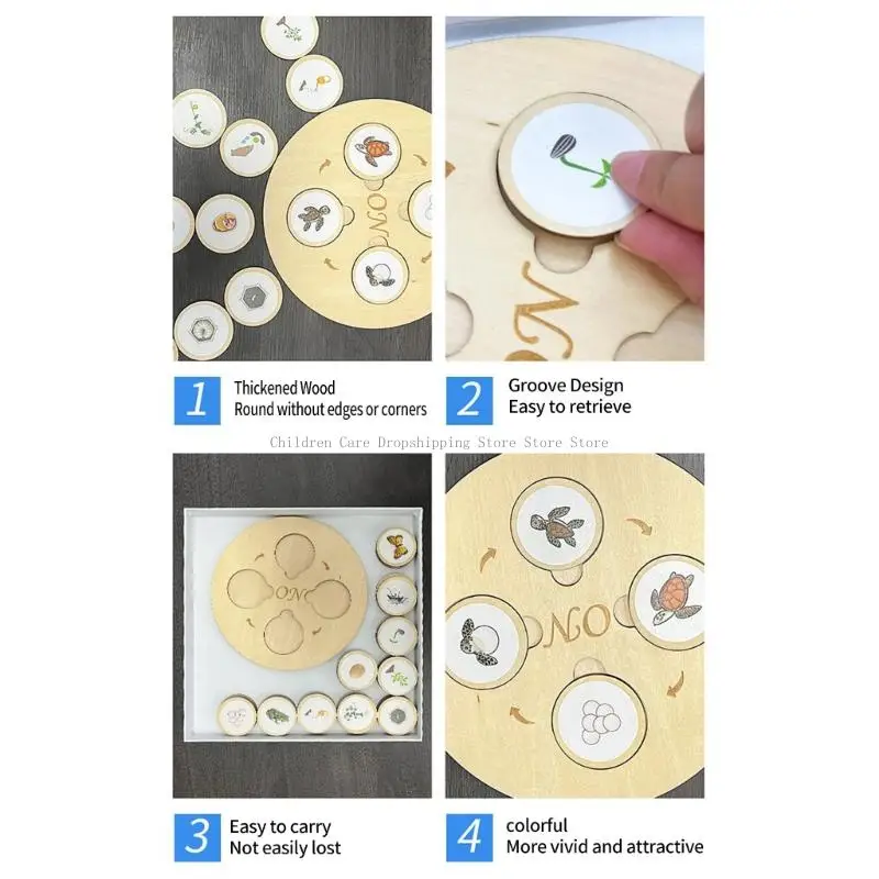 Biological Life Growing Boards Boards พ่อแม่กิจกรรมเด็กกิจกรรมการศึกษาปฐมวัยของเล่น