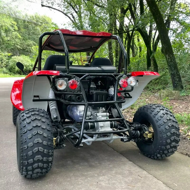Style material universal shaft drive 300cc dune UTV off-road vehicle for agricultural and rural work