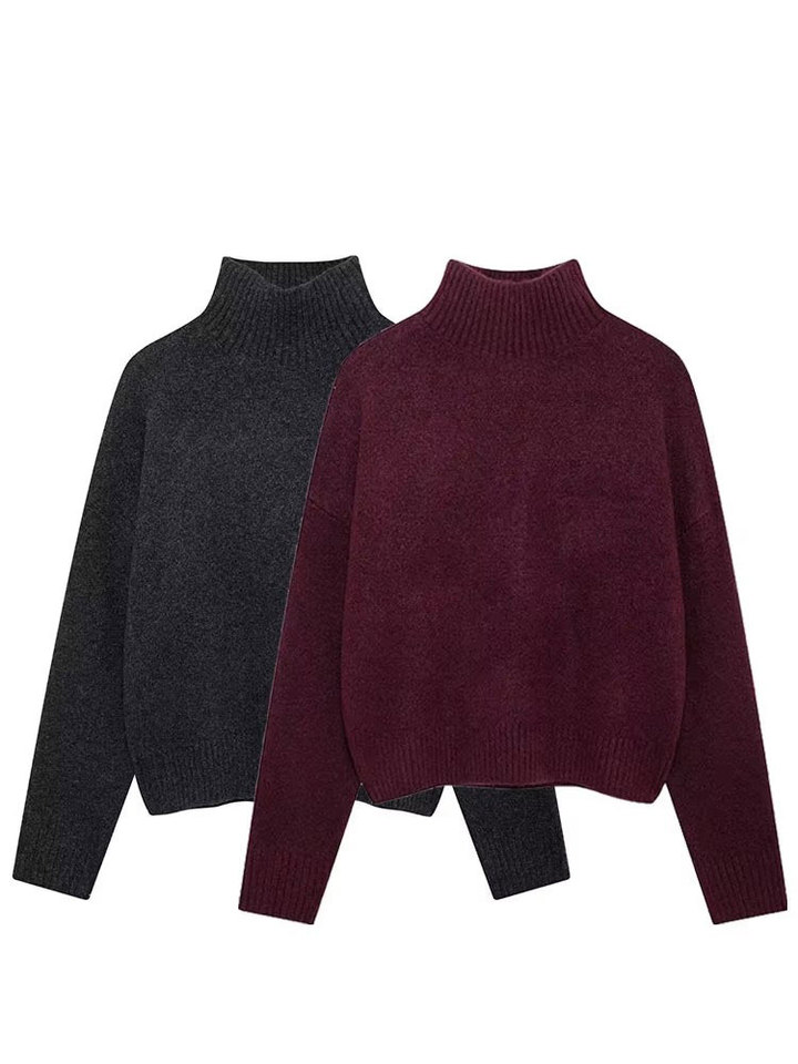  HH Women Vintage Burgundy Turtleneck Sweater Casual Long Sleeve Knitted Pullover Autumn Winter Women Solid Warm Knitwear 