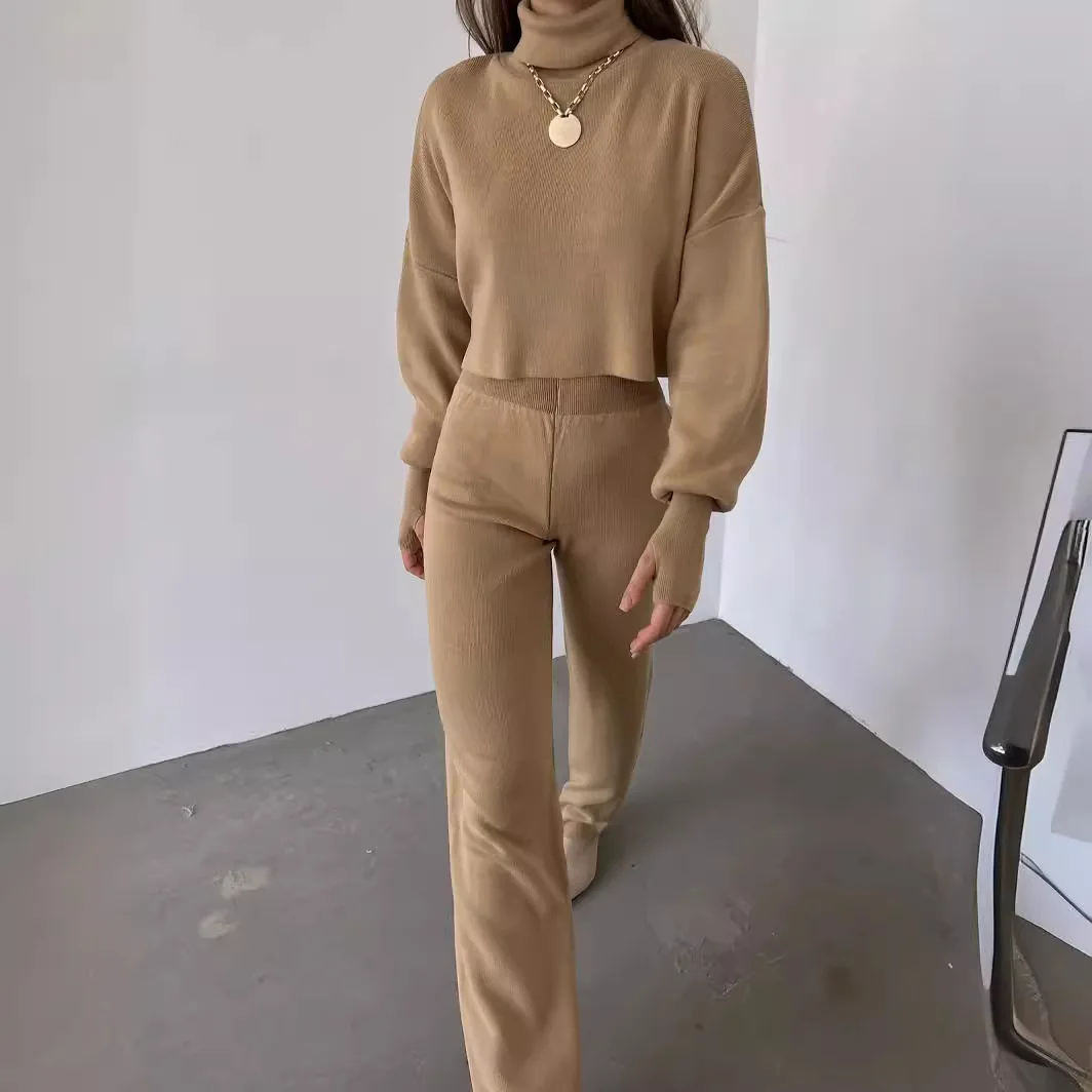 Women Autumn Winter 2pcs Clothes Set Solid Color Turtleneck Long Sleeve Sweatshirt & Loose High Waist Pants