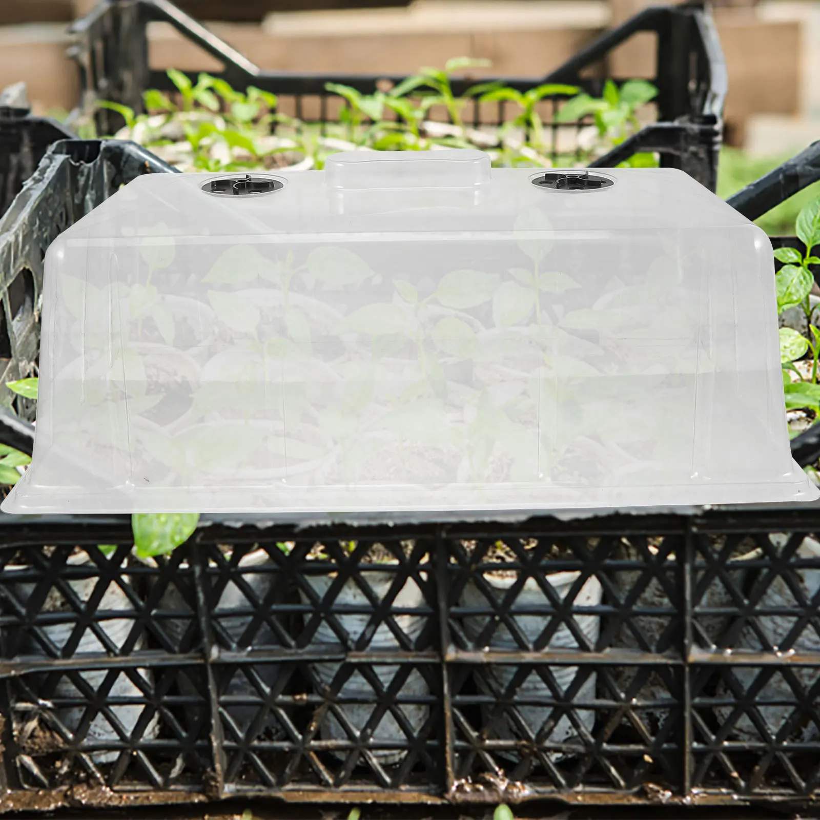 غطاء صينية الرطوبة على شكل قبة النبات للنباتات الصغيرة غطاء إنبات قابل لإعادة الاستخدام غطاء وعاء الحضانة خفيف الوزن غطاء ترطيب الحديقة