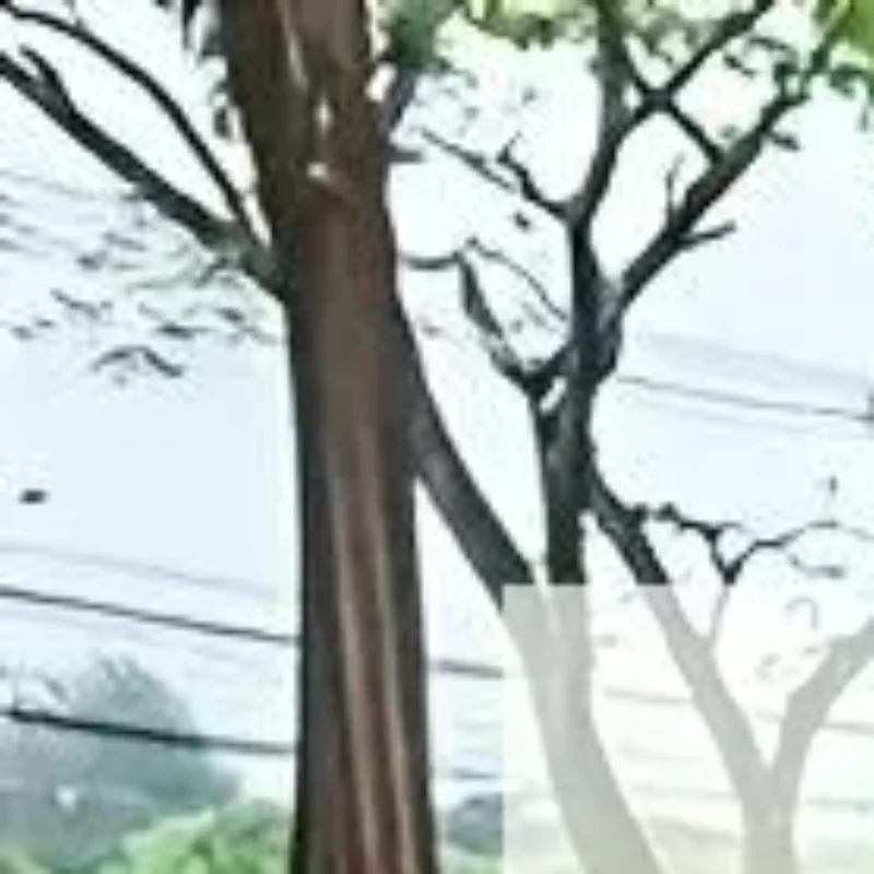 

Sun-Proof Reflective Car Stickers Electric Vehicle Scratch Decoration Stickers Toilet Seat Stickers Bathroom Stickers