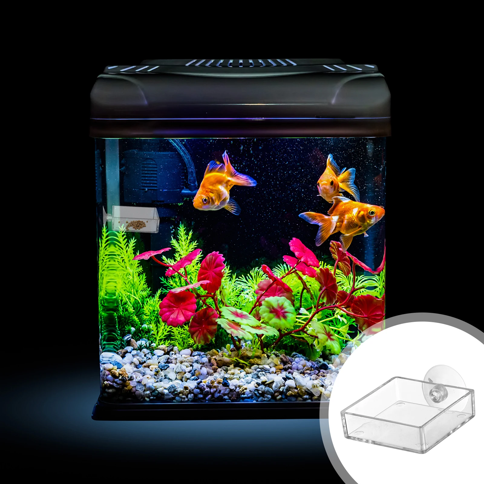 

4pcs Fish Feeder Bowl Shrimp Tank Transparent Acrylic Aquarium Tray Suction Cup Strong Absorption Adjustable Height Pet