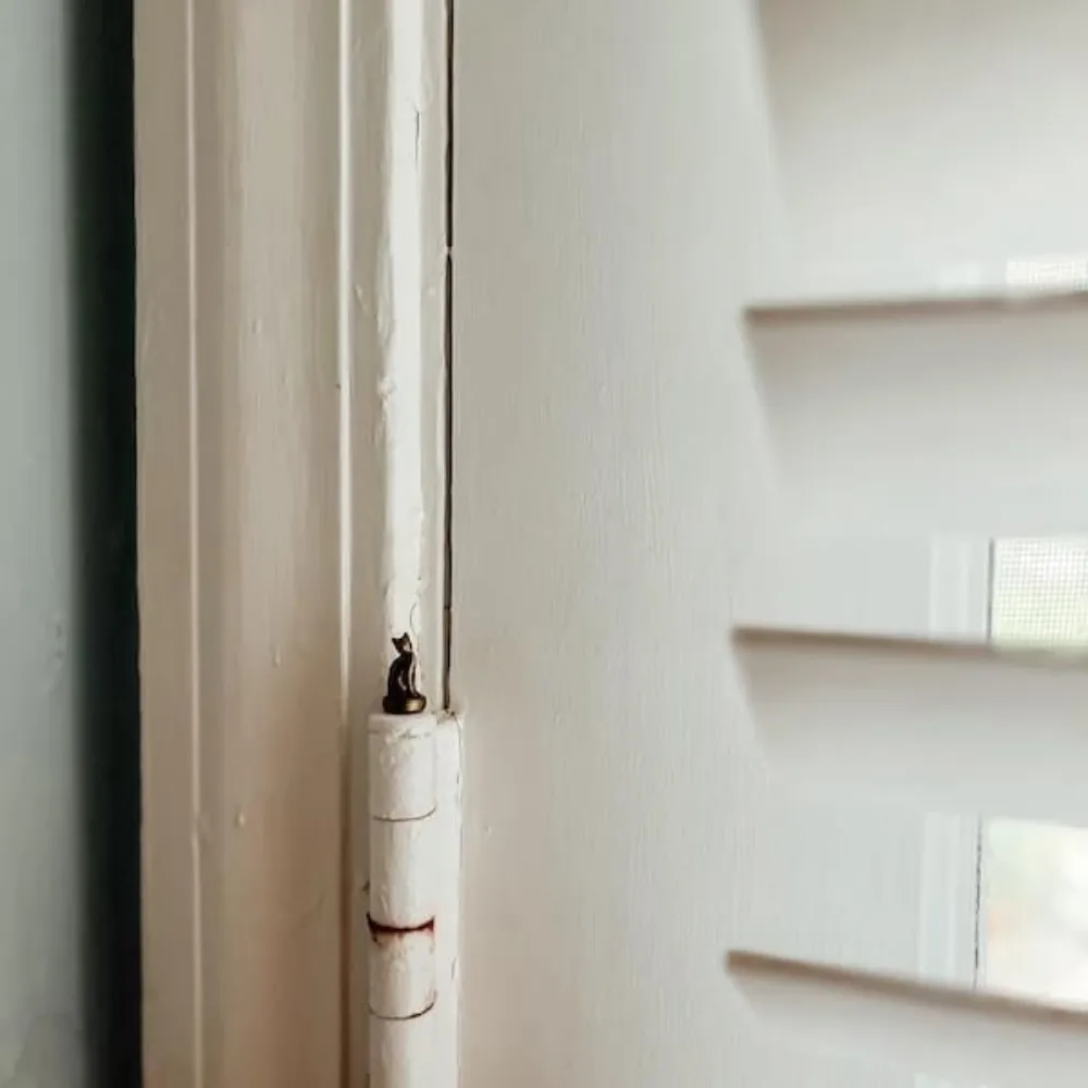 Thumbnail 4 - #12 Compare Magnetic Cat Doors Before You Buy