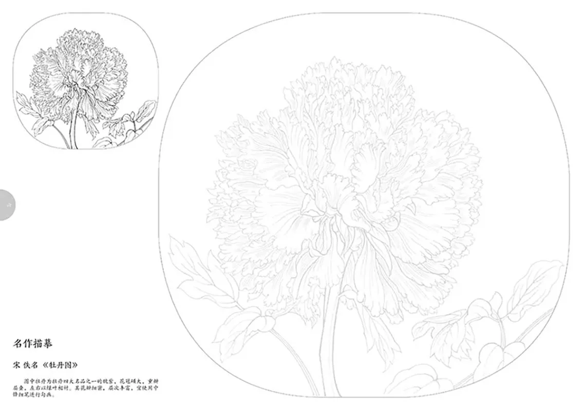 Introduction to Line Drawing in Chinese Painting for Flowers and plants Art Book