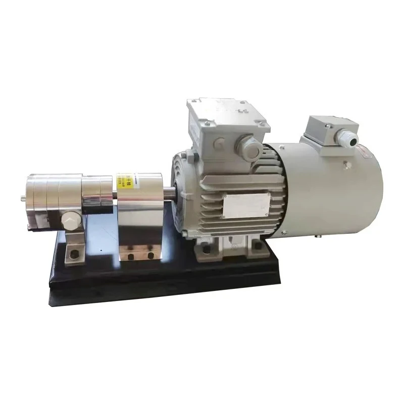 Positive Displacment Pumps High Precision Vacuum Discharge Pump with Magetic Coupling Without Leak External Gear Chemical Pumps