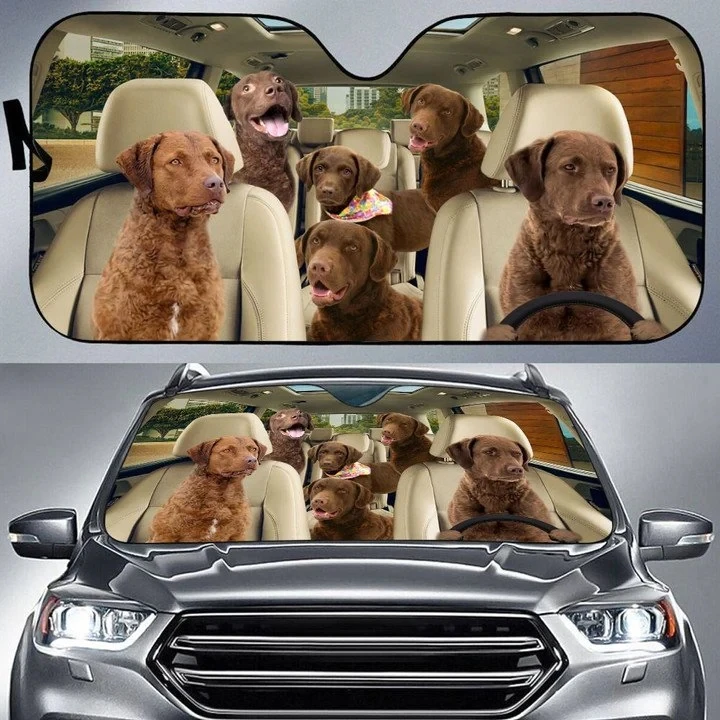 Chesapeake Bay Retriever Car All Over Printed 3D Sun Shade for Car Truck Decor Windshield Sunshade,Blocks UV Rays Sun