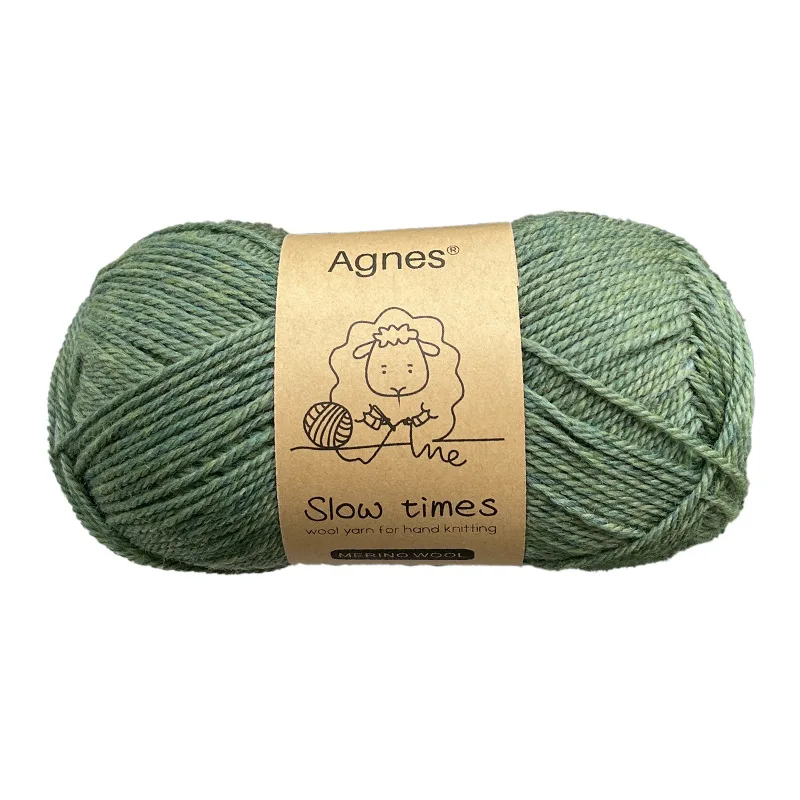 50g*5pcs Agnes Slow Time Basulan Merino Wool Knitting Diy Crochet Wire