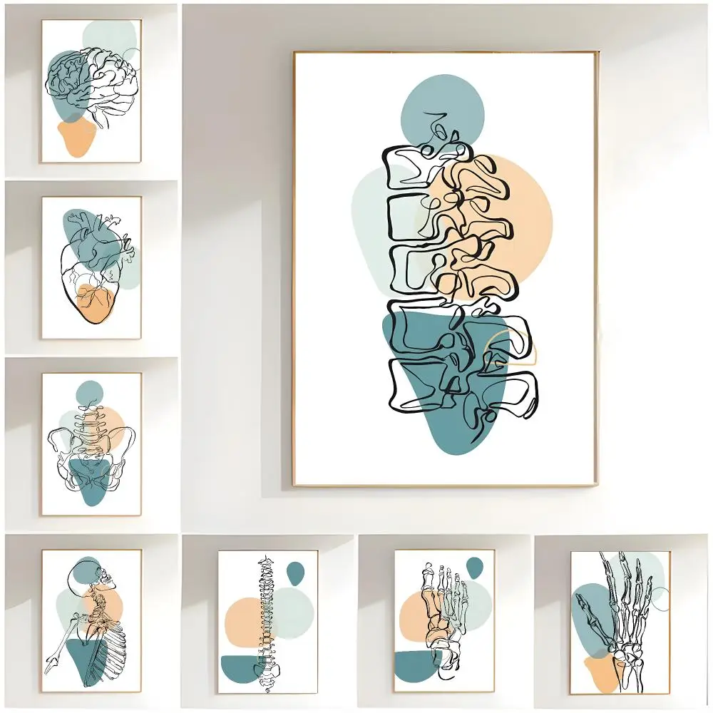 Pädagogische Kunst, abstraktes medizinisches Anatomie-Herz-Wandbild, nordisches Poster, hochwertige Wanddekoration, modernes Poster für das Zuhause, ohne Rahmen.