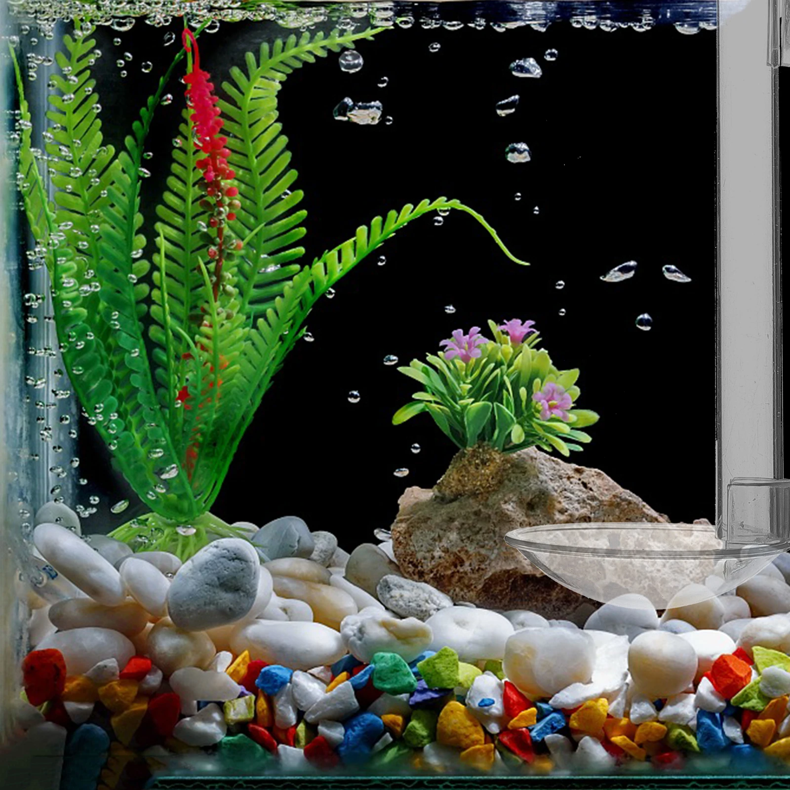 

1 set Aquarium Fish Feeder Tube Transparent Acrylic Shrimp Feeding Dish Hanging Betta Vacation Feeder No Drift Easy Clean Fish