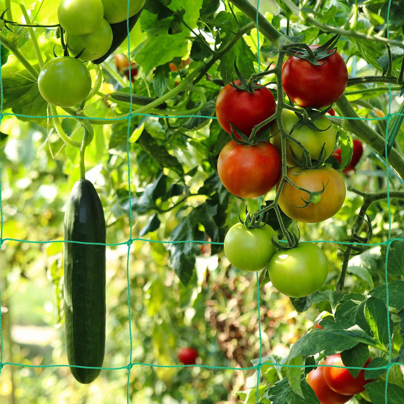 

Plant Trellis Netting Grid Design Strong Plastic Climbing Support For Garden Flower Wall Fruit Beans Outdoor Use