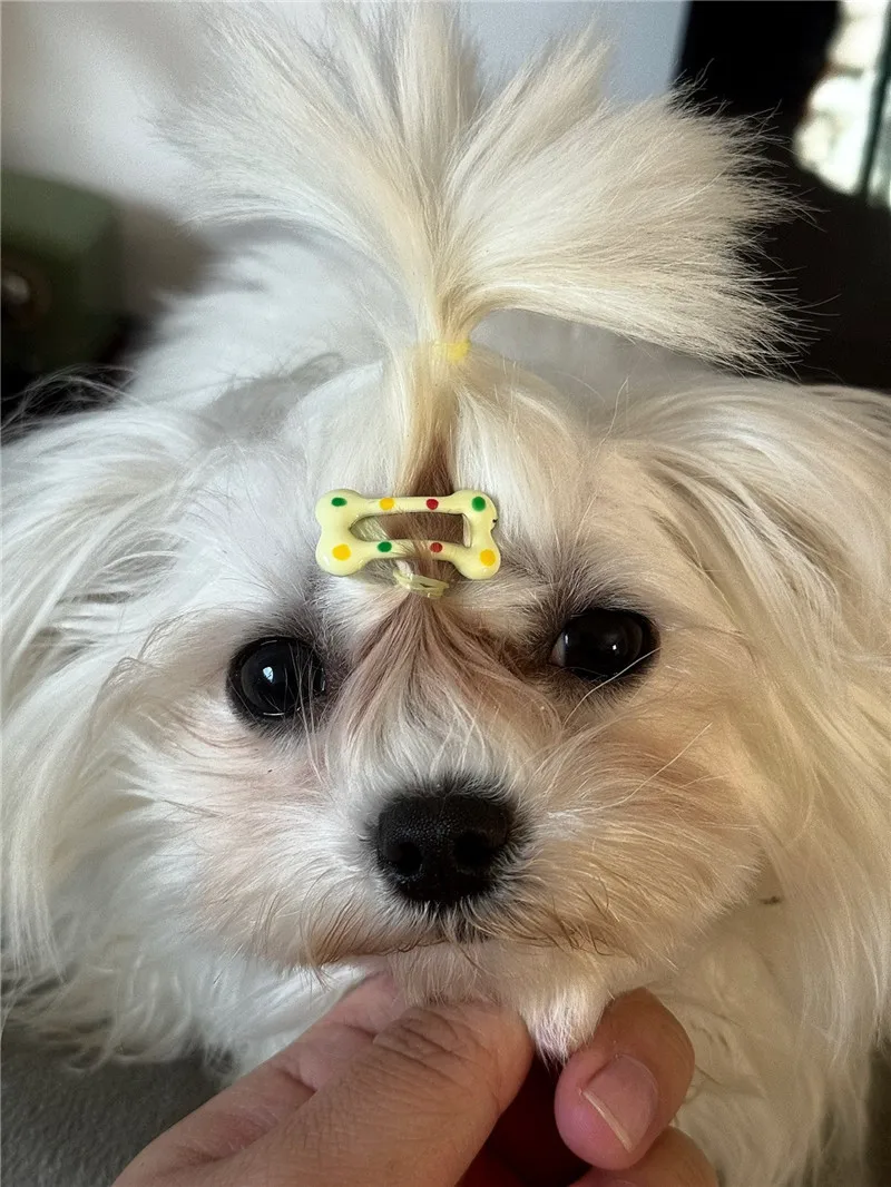 5/10/20pcs Dog Hair Clips Multicolor Barrettes Small Bone Snap Hair Clips for Dog Cat Pet Grooming Bows Pet Hair Accessories