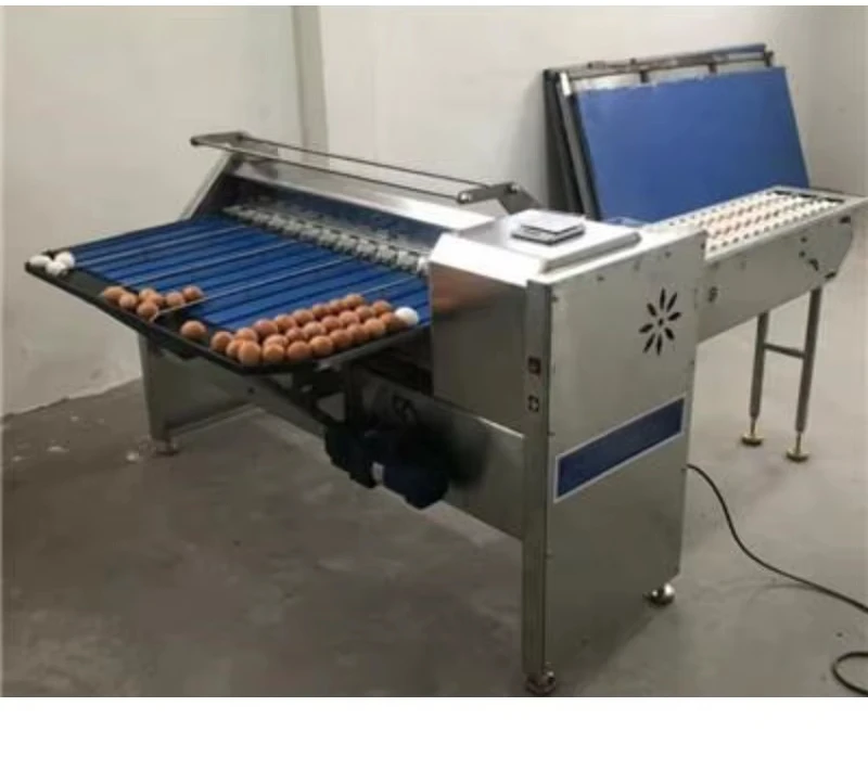 Automatic Egg Grading Machine Egg Grader Automatic Chicken Egg Sorting Machine Hot Sale
