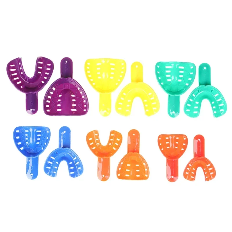 

12Pcs Childrens And Adults Dental Trays Plastic Teeth Holder Color Dental Model Dental Lab Materials And Equipment