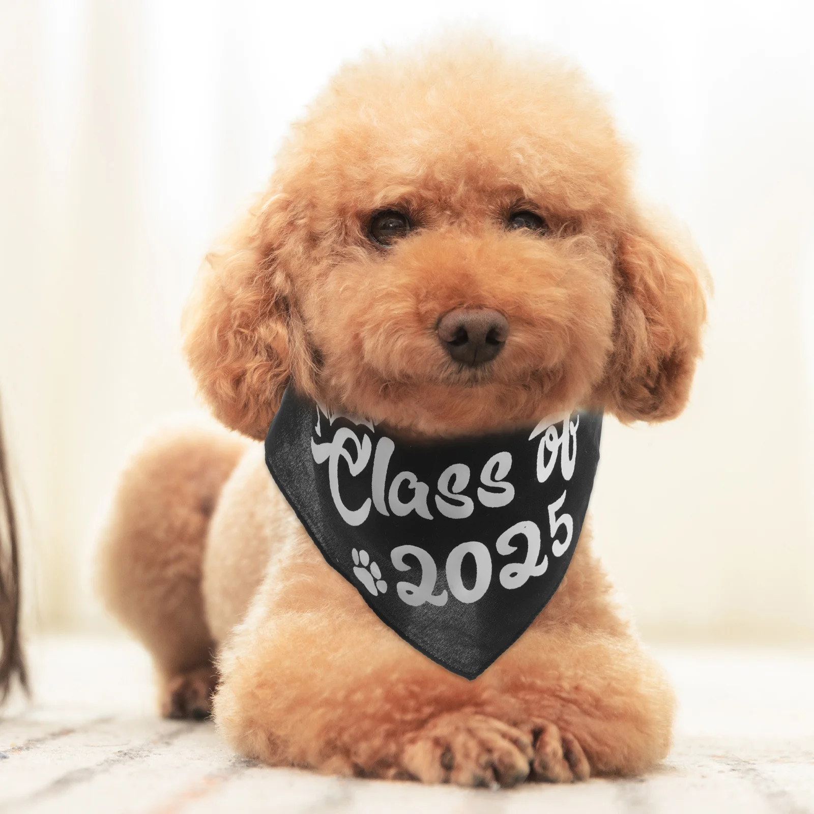 

2Pcs Pet Triangle Bandana Graduation Dog Scarf Bib Adjustable for Class of 2025 Celebration Party Photo Props Washable