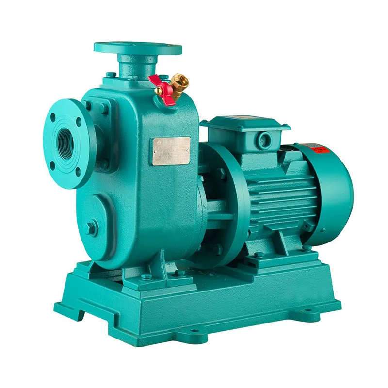 High Pressure Mechanical Self-Priming Electric Pump Chemical Pump Transfer Water Pump