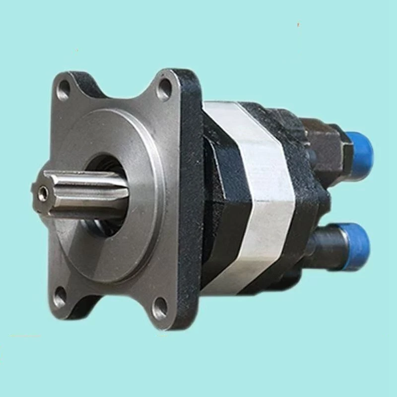50 63 80 Hydraulic Gear Pump Oil Pressure Pump Rear in and Rear Out Oil Pump