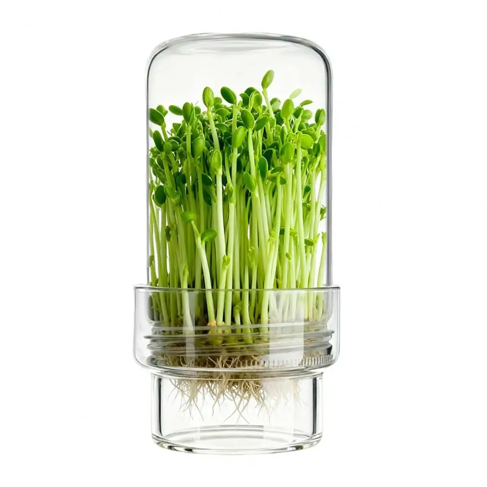 

Sprouting Jar Kit, Stacking Sprouting Jars Set with Sprout Lid, Plant Sprout Growing Kit for Home Gardeners Vegan Diets