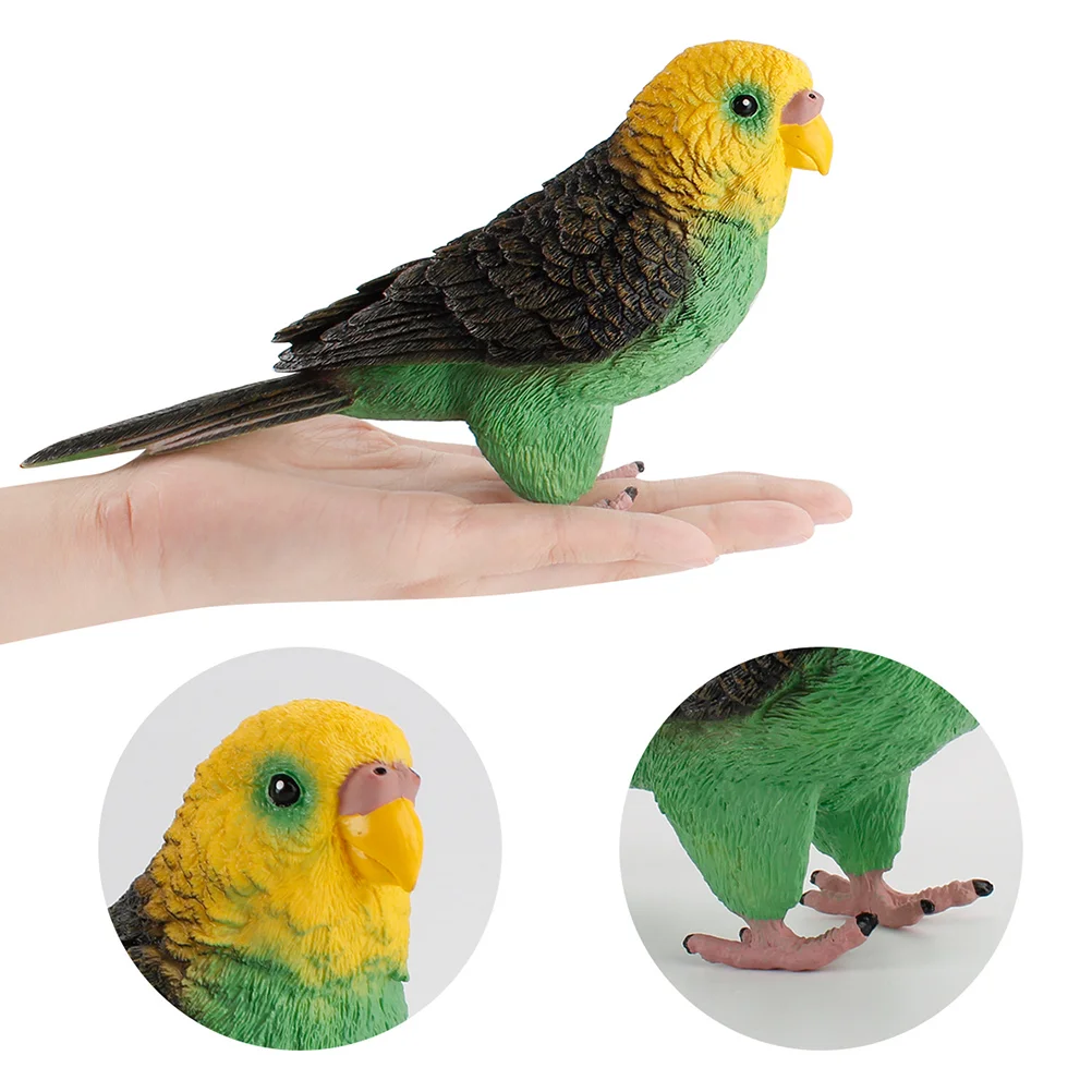 

Simulated Budgie Parrot Sculpture Budgerigar Toy Gift Model Plastic Simulation Small for Kids Home Decor