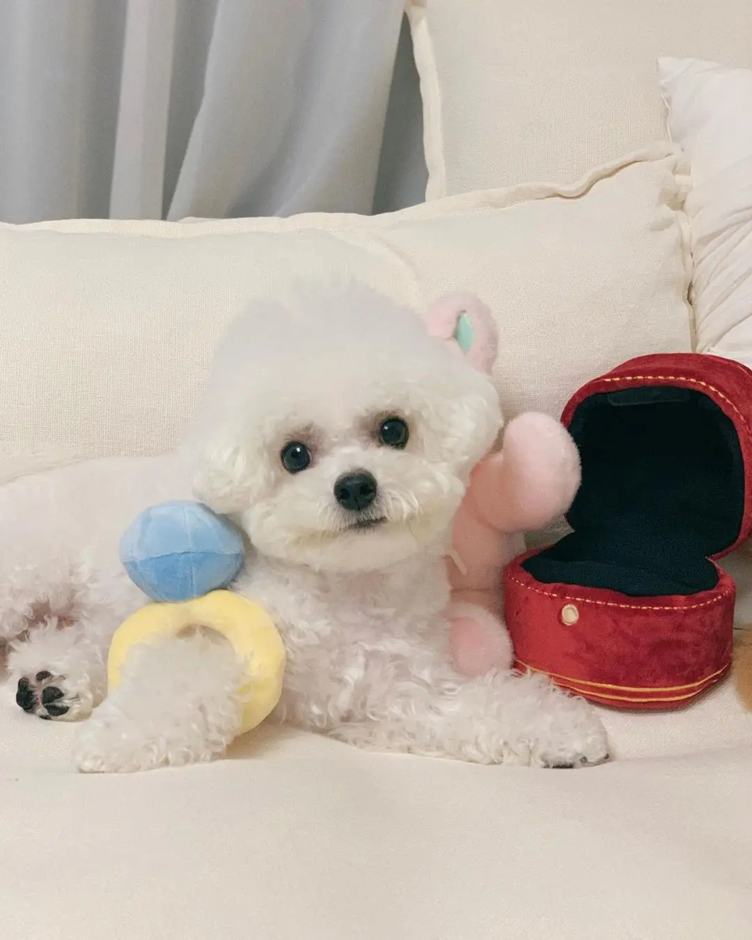 Creative Ring Box Plush Toy Love Diamond Ring Case Stuffed Pet Chew Toy Sounds Puppies Kids Cute Soft Dog Bitter Interested Toys