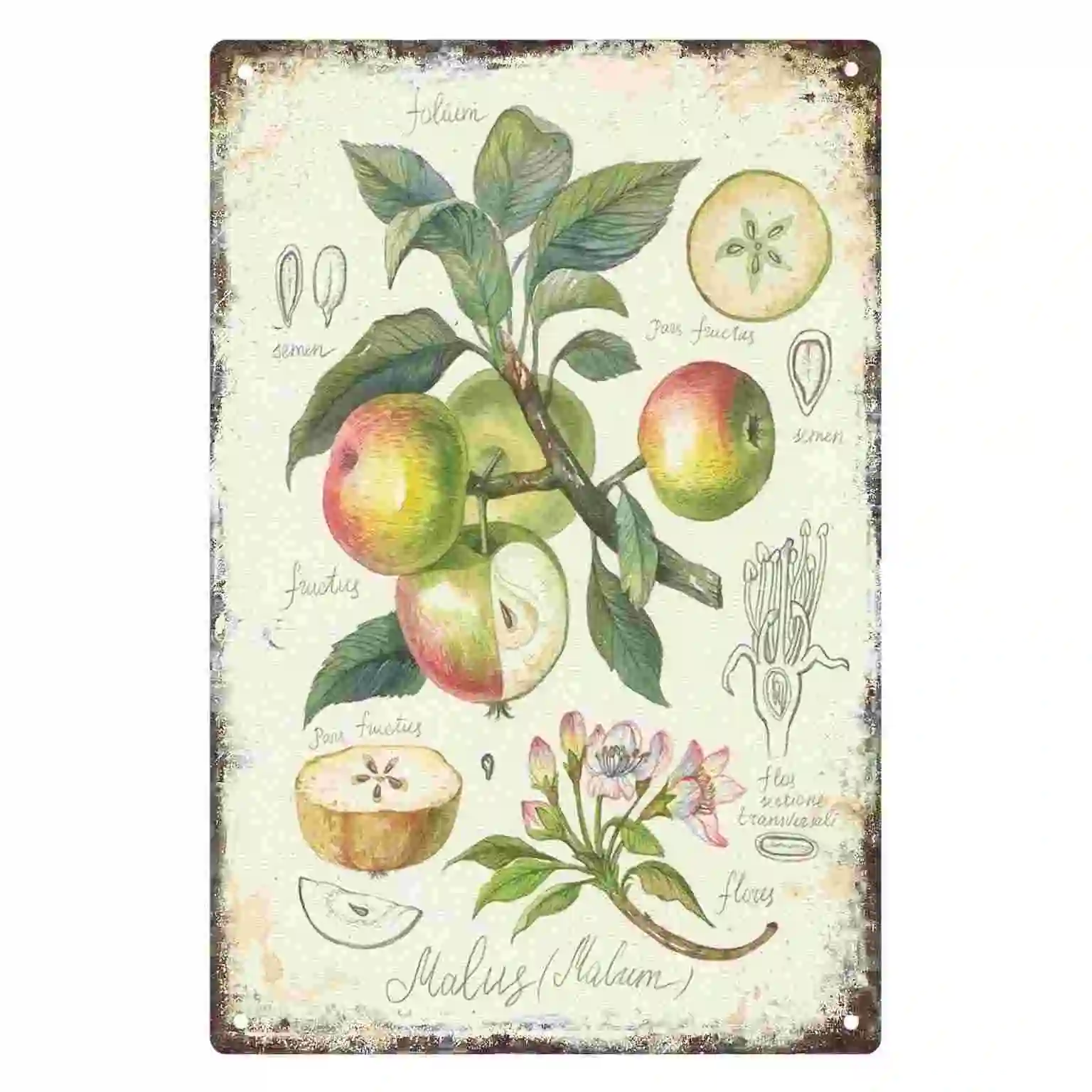 2D FLAT 1pc Vintage Botanical Apple and Blossom Metal Wall Sign Decoration for Home Cafe Kitchen Dining Room And Garden