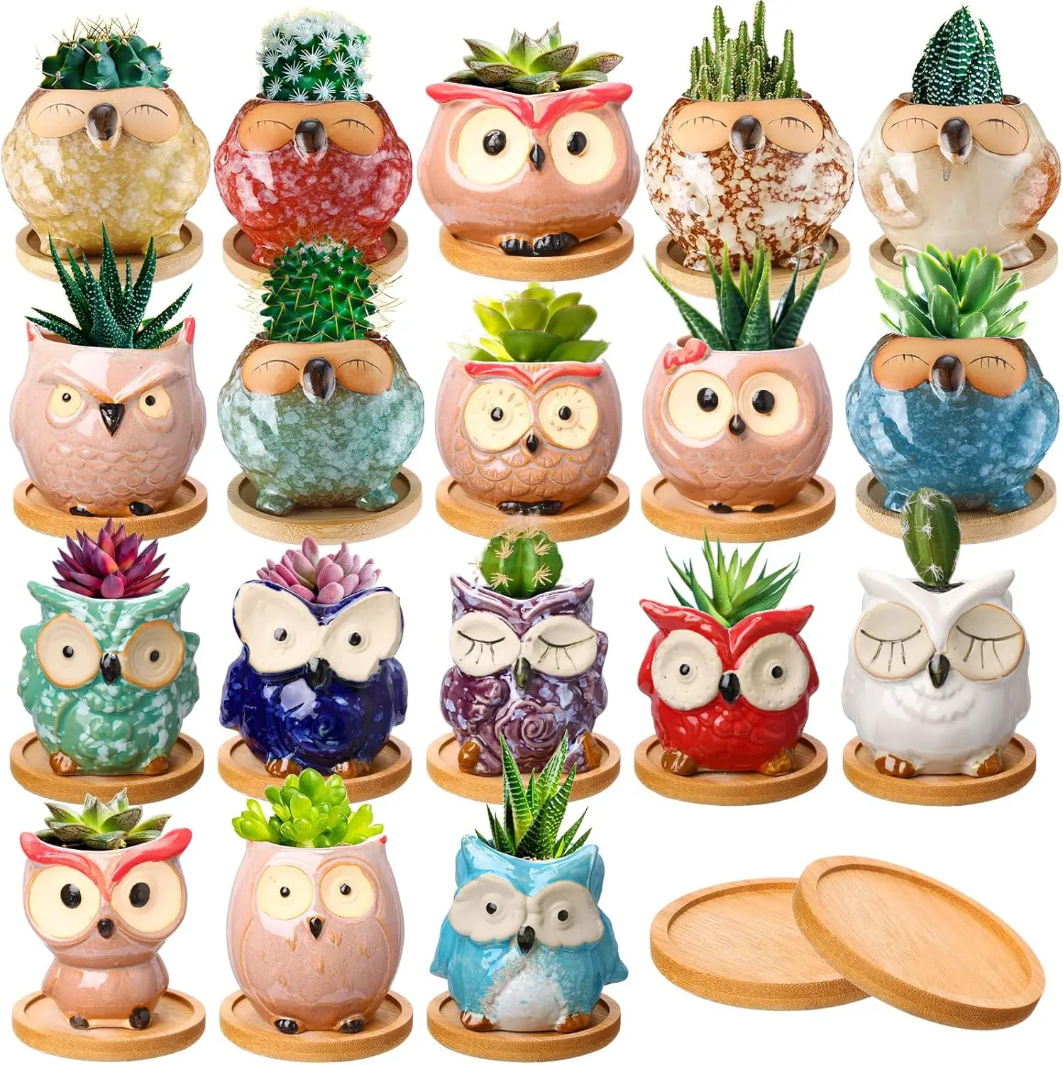 Home, Garden, Office Desk Decoration, Ceramic, Mini Owl Pots with Drainage Hole and Bamboo Tray